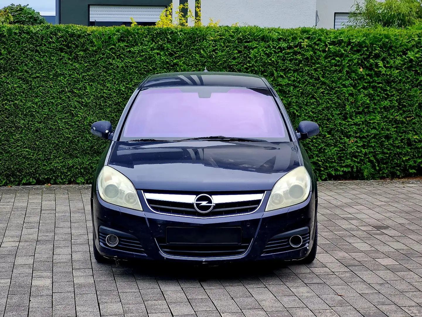 Opel Signum Cosmo Automatik (Navi, Xenon, Leder) Blau - 2