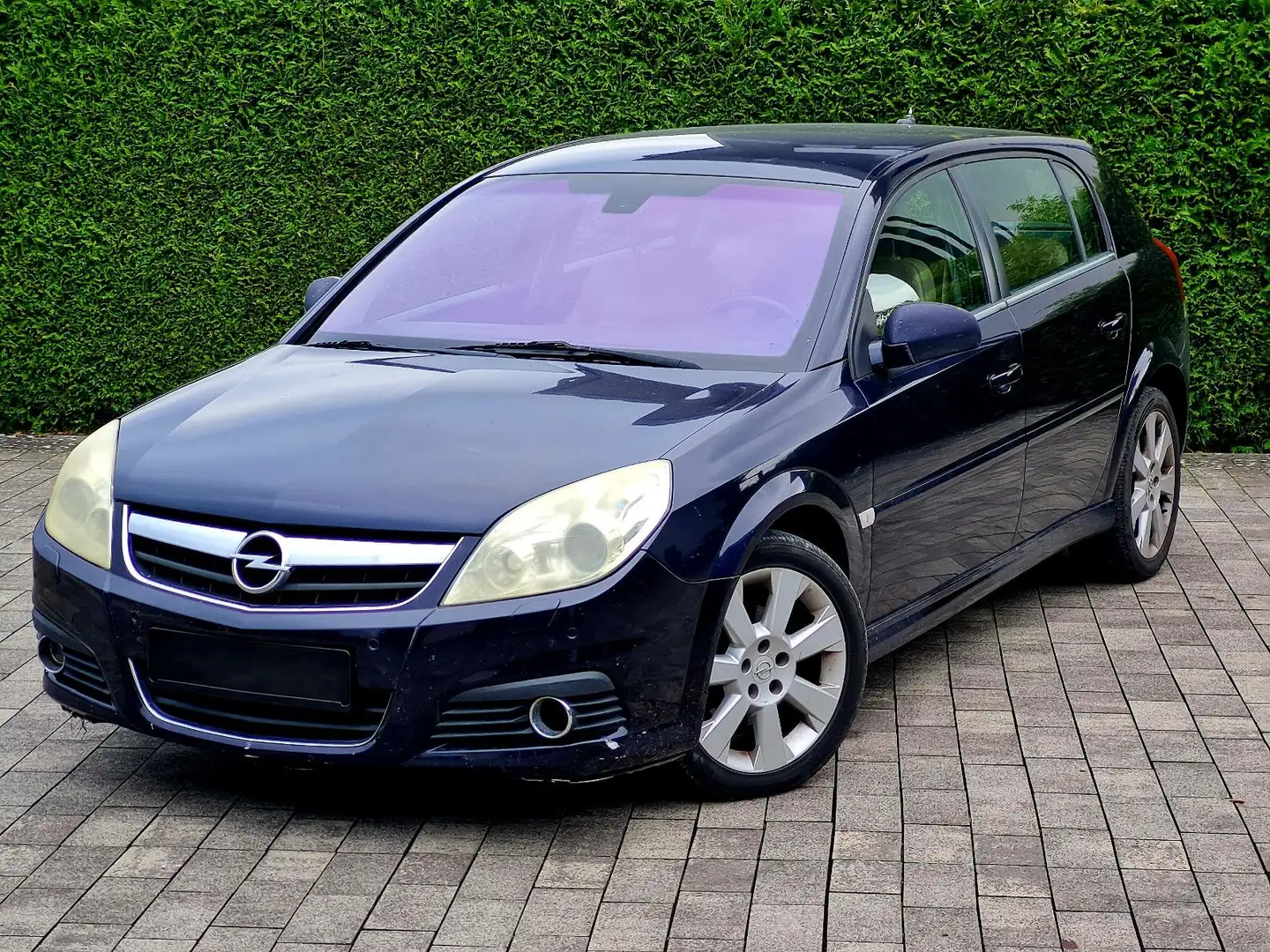 Opel Signum Cosmo Automatik (Navi, Xenon, Leder) Blau - 1