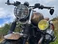 BMW R 12 nineT Scrambler Bronz - thumbnail 9