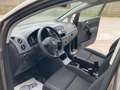 Volkswagen Golf Plus Golf Plus 1.4 Comfortline - thumbnail 5