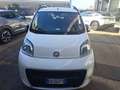 Fiat Qubo QUBO 1.3 MJT 95 CV Trekking Bianco - thumbnail 12
