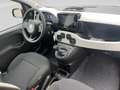 Fiat Pandina Cross Schwarz - thumbnail 20