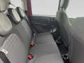 Fiat Pandina Cross Schwarz - thumbnail 19