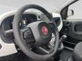 Fiat Pandina Cross Schwarz - thumbnail 12
