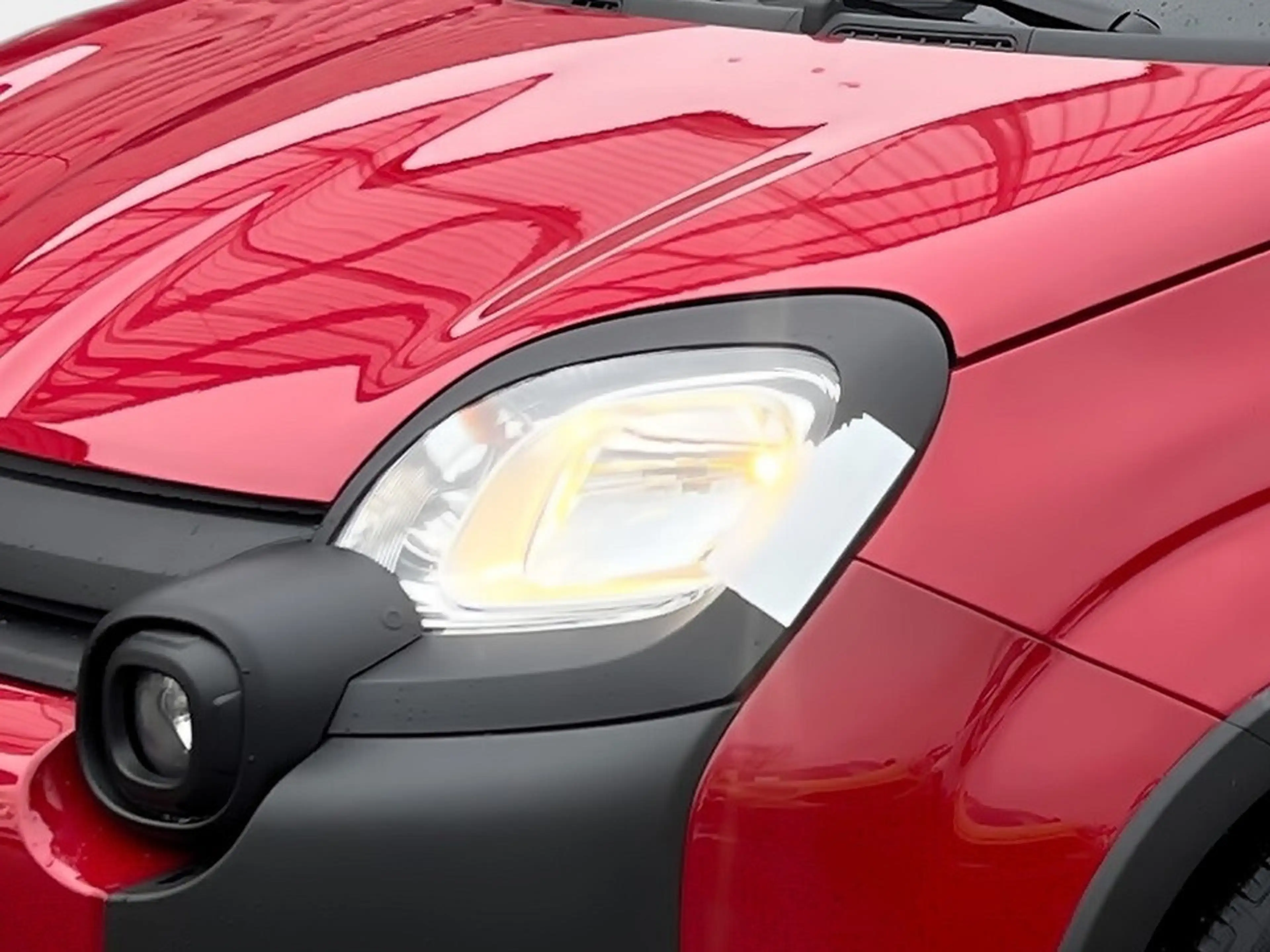Fiat Pandina Cross — photo 7