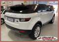 Land Rover Range Rover Evoque 4x4 2.0 TD4 150cv SE AUTOMATICO Business Blanco - thumbnail 2