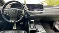 Lexus ES 300 300h F Sport Bruin - thumbnail 10