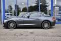 BMW Z4 sDrive20i M Sport Navi Porfessional Leather Keyles Gris - thumbnail 8