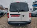 Volkswagen Caddy Kasten Kombi Maxi lang 5 Sitze Klima Weiß - thumbnail 7