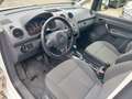 Volkswagen Caddy Kasten Kombi Maxi lang 5 Sitze Klima Weiß - thumbnail 18