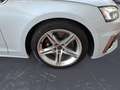 Audi S5 Cabrio TFSI quattro tiptronic *SIDE ASSIST*DA Gris - thumbnail 8