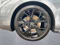 Volkswagen Passat R-Line "Signature" 2.0 TDI DSG 4M AHK/HUD Grau - thumbnail 13