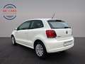 Volkswagen Polo V Comfortline/Tüv + Au Neu Weiß - thumbnail 7