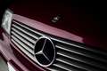 Mercedes-Benz SL 280 Violett - thumbnail 33
