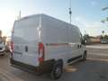 Fiat Ducato furgone medio alto Blanco - thumbnail 4