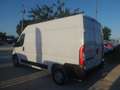 Fiat Ducato furgone medio alto Blanco - thumbnail 6