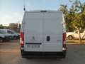 Fiat Ducato furgone medio alto Blanco - thumbnail 5