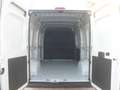 Fiat Ducato furgone medio alto Blanco - thumbnail 7