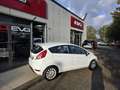 Ford Fiesta Fiesta VI 2013 5p 1.5 tdci Business 75cv Blanco - thumbnail 4
