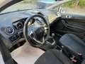 Ford Fiesta Fiesta VI 2013 5p 1.5 tdci Business 75cv Blanco - thumbnail 10