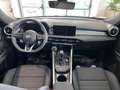 Alfa Romeo Tonale 1.6 diesel 130 CV TCT6 Veloce - PACK PREMIUM Verde - thumbnail 19