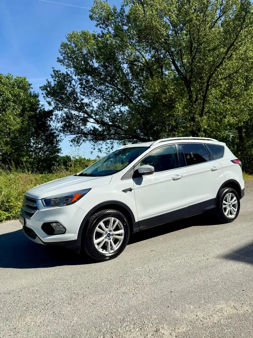 Ford Kuga 1.5 tdci Titanium s&s 2wd 120cv Wit - 2