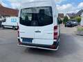 Mercedes-Benz Sprinter SPRINTER  313CDI - thumbnail 7