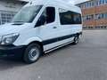 Mercedes-Benz Sprinter SPRINTER  313CDI - thumbnail 3