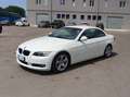 BMW 320 320d Bianco - thumbnail 3