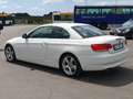 BMW 320 320d Bianco - thumbnail 4