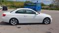 BMW 320 320d Bianco - thumbnail 6