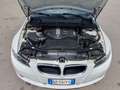 BMW 320 320d Bianco - thumbnail 13