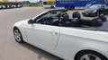 BMW 320 320d Bianco - thumbnail 12
