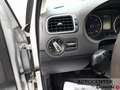 Volkswagen Polo 1.2 TDI DPF 5 p. Comfortline Argento - thumbnail 13