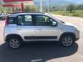 Fiat Panda 1.3 mjt 16v Climbing 4x4 75cv my12 Argento - thumbnail 2