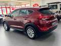 Hyundai TUCSON blue Intro Edition NAVI/AHK/KAMERA/U-FREI Rouge - thumbnail 6