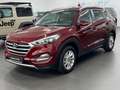 Hyundai TUCSON blue Intro Edition NAVI/AHK/KAMERA/U-FREI Rouge - thumbnail 1