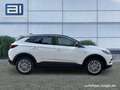 Opel Grandland Innovation AT AHK R-Kam Weiß - thumbnail 8