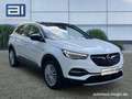 Opel Grandland Innovation AT AHK R-Kam Weiß - thumbnail 7