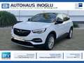 Opel Grandland Innovation AT AHK R-Kam Weiß - thumbnail 1