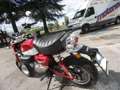 Honda Monkey 125 Monkey 125 Rosso - thumbnail 6