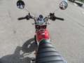 Honda Monkey 125 Monkey 125 Rosso - thumbnail 11