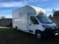 Peugeot Boxer 335 Weiß - thumbnail 2