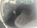 Skoda Superb Combi Family Blanc - thumbnail 8