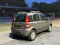 Fiat Panda 4x4, 1.2L Braun - thumbnail 4