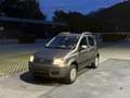 Fiat Panda 4x4, 1.2L Braun - thumbnail 1