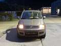 Fiat Panda 4x4, 1.2L Braun - thumbnail 2