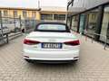 Audi A5 A5 Cabrio 40 2.0 tdi Design 190cv s-tronic Bianco - thumbnail 7