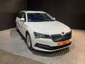 Skoda Superb 2.0TDI AdBlue Ambition DSG 110kW Bianco - thumbnail 2