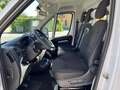 Opel Movano 35 2.2 BlueHDi 140 Cassonato Fisso alluminio Bianco - thumbnail 8